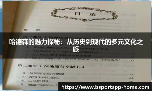bsports登录入口